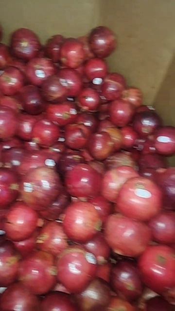 Pomegranate Price In America In December 2023/Гранат цена в Америке  в дека?