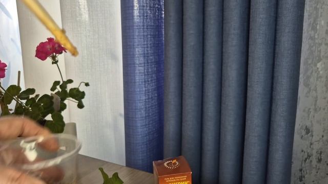 Укоренение черенков петунии