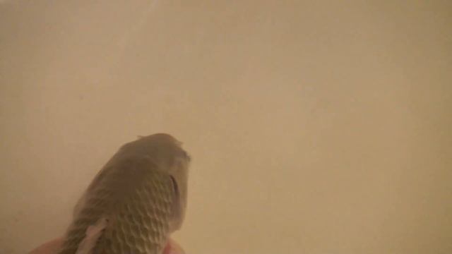 E2f79e3fa65bb436d152426fecfe544b