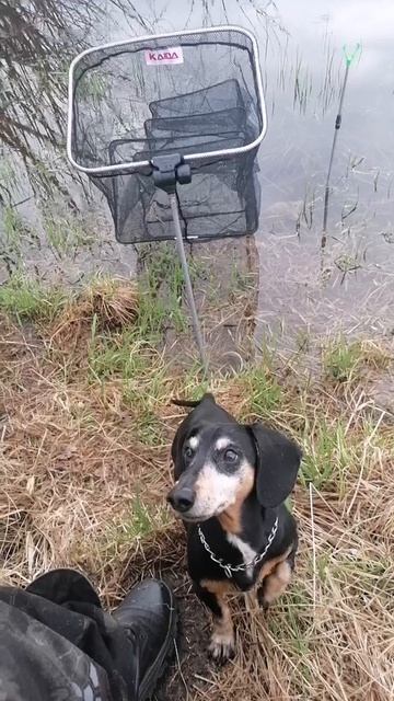 VID-20250508-WA0007.mp4