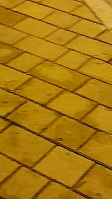 F8c086bfaecff552a772bcfb1ada8dc2