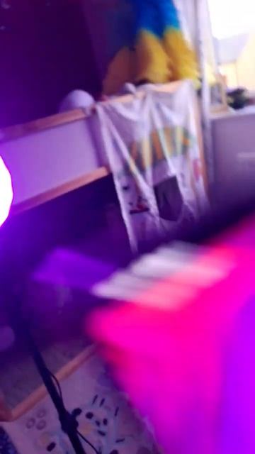 25 декабря 2024 г.