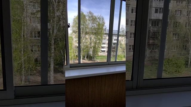 Гущина 205.mp4
