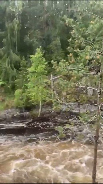 Водопад Кивач в Карелии