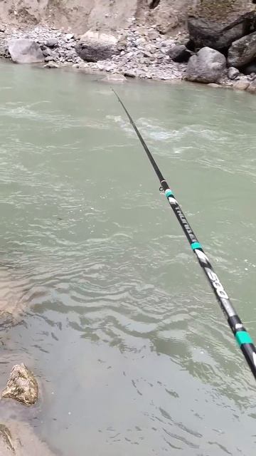 #fishing #рыбалка #поход #trout