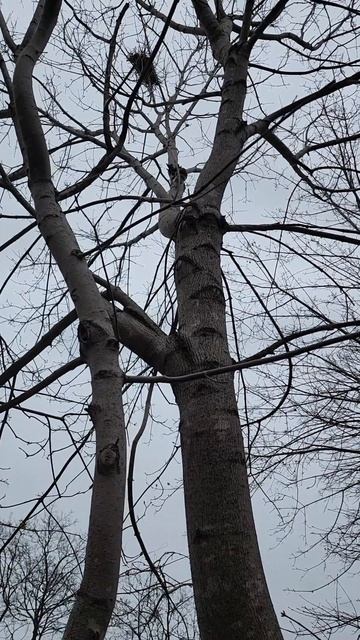 Ed537a031d194564796c210f05414124