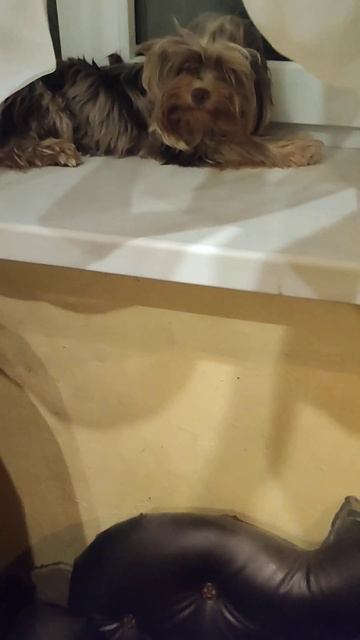 Всем спокойной ночи 🤗