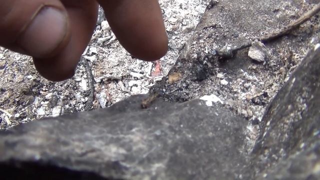 Рыбалка в Тайге Встреча с Медведем Рудиковка 2016 Выжив?