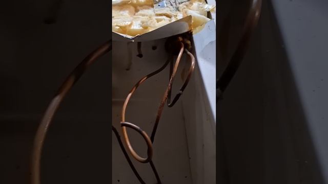 Холодильник из меди. Медяха. #медь #цветмет #халява #баб