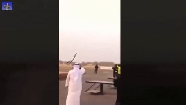 ПРИКОЛЮШКИ Июнь 2016!!!!!!!!!!!!!!