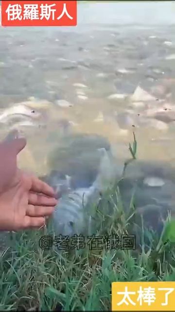 De9ca3161bdd4f2c5367489c92164cdf