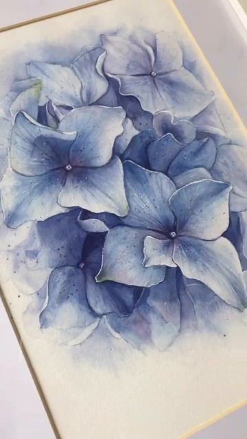 Гортензия💙 #art #drawing #watercolor  #illustration #artist #watercolorsketch #botanica