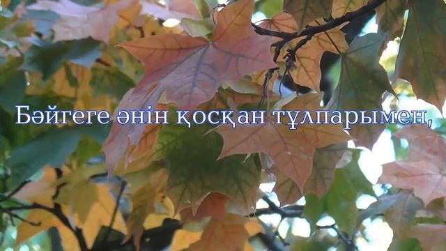 Қуандық Сәденов. Ақтоғай -  ұлылар мекені
