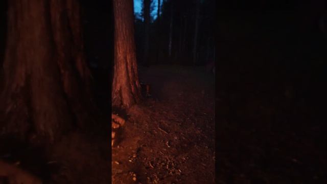 Открытие охоты в Свердловской обл на Утку. утка утки 