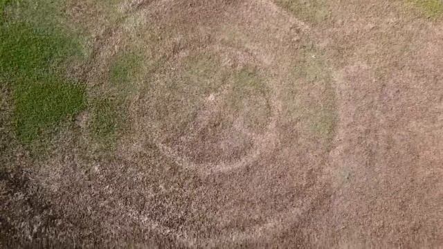 Место посадки НЛО , Омск 05/2022