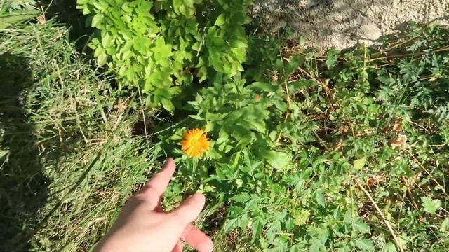 То, что остается за кадром. Дорога в греческую деревню.