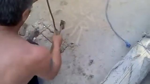 Ровная дорога Родекс