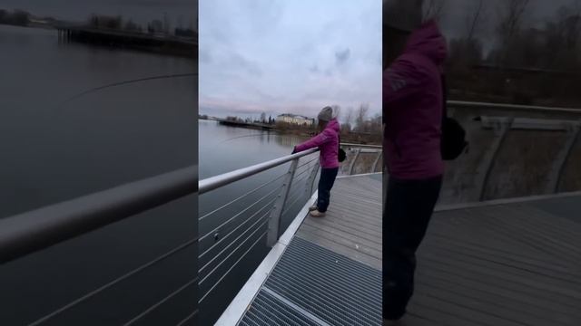 Есть корнцанги?✂️ #рыбалка #спиннинг #микроджиг #ульт?