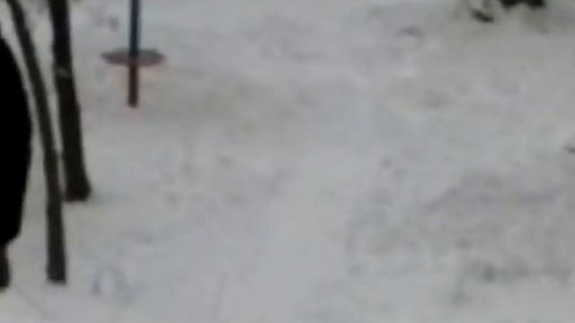 B3f9518fd375f60a5275675281f1e01a