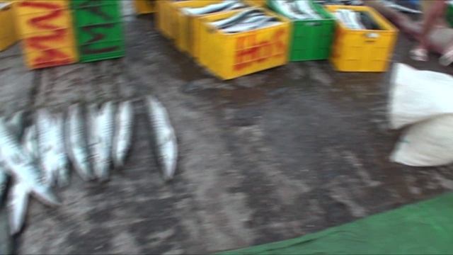 Рыбный базар