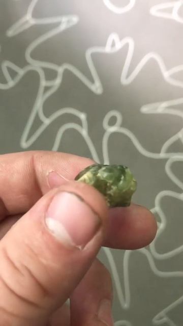 Лот 15. Демантоид