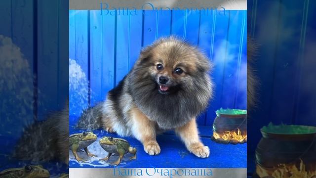 C34e5e609bdca412d3d0dcf025021baf