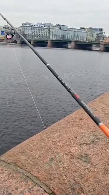 49275fd78e5029e29a5cdbdb0643ae00