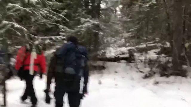 Идём на Иремель по лесу в гору