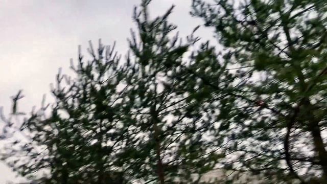 0e495bbdae1a1b1c2215dd4ec21cffb7