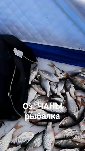 рабалка на оз. Чаны        2022