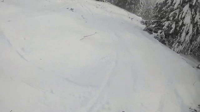 C154f39149b7231509b83227175f5a37