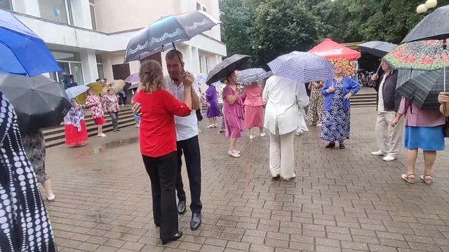 Белые тюльпаны..........03.08.24 Гомель парк Луначарского 🥰