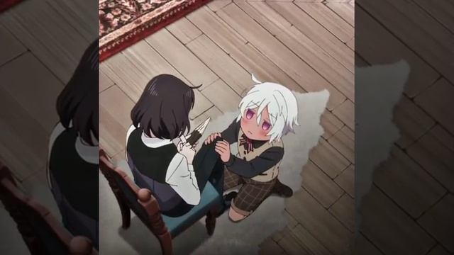 Ной и Луи/мемуары ванитаса