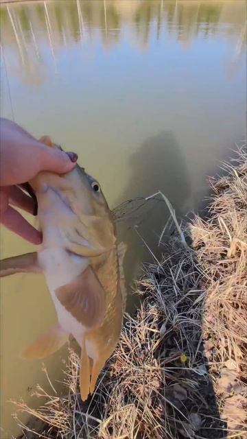 Сезон рыбалки открыт!