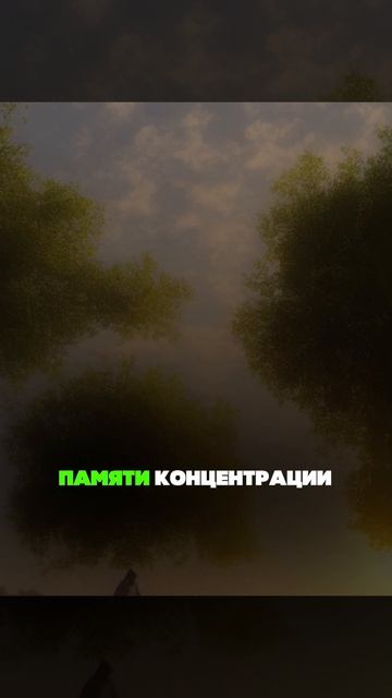 Быть “совой” вредно для здоровья