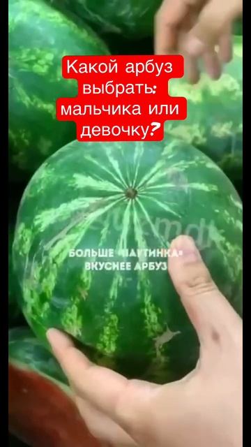 #арбуз