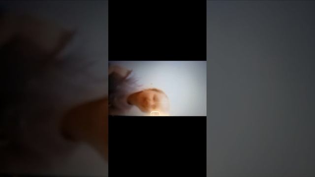 2 часть, Школа новый ученик в нашем классе😲