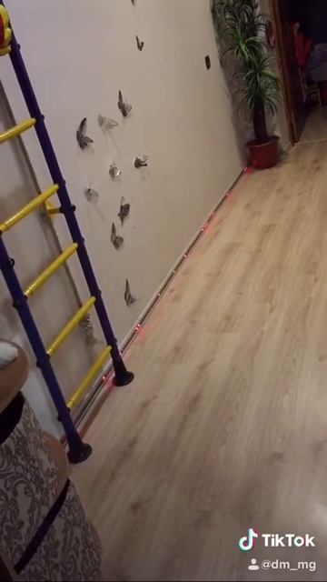 Динамический плинтус.Ты такого не видел!!!