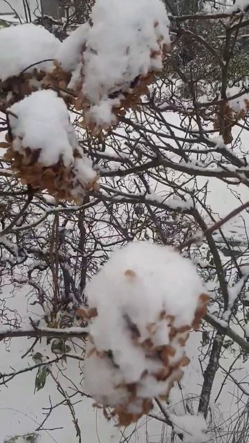 B41df378b88c225005283aa6111b3c3f