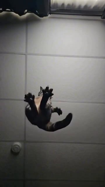 Ночник проектор космонавт звездное небо на ВБ 193321731 #п?