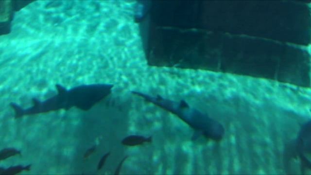 Аквапарк на Востоке №1