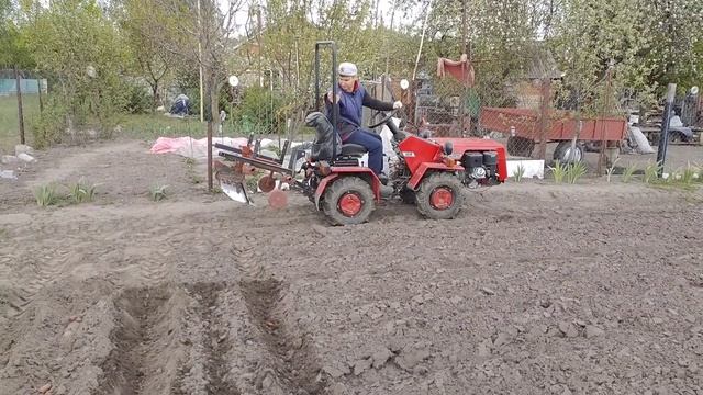 посадка картофеля под окучник минитрактором
