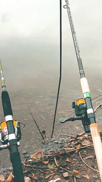 рыбацкие приметы #карась #fishing #рибалка #рибалкавукраї?