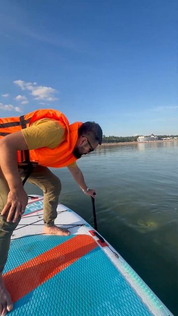 Финский залив