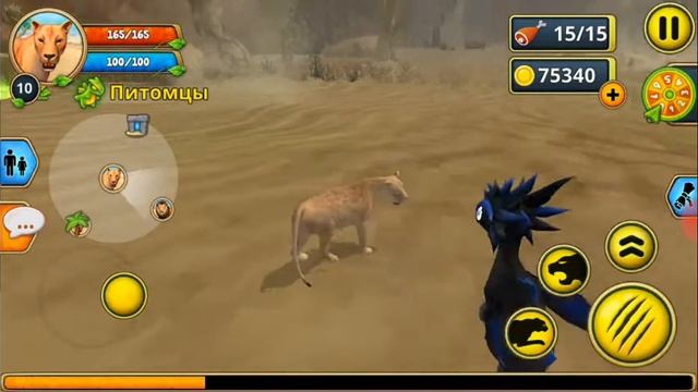 33c093834dfeb86a964ee69f06799856