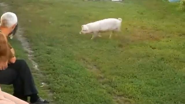 D96b5b8e10585816cda06efca6a8f266