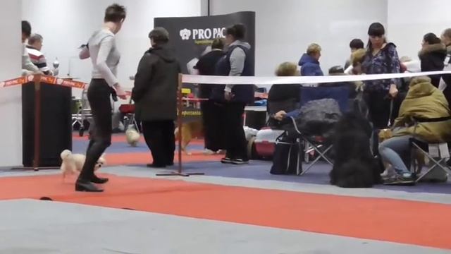 1dfc1096bad9a08659ef699ffe3b924f