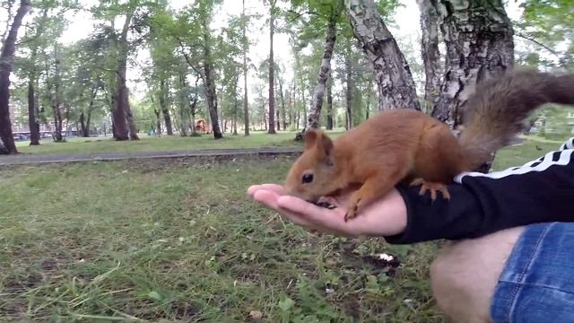 D058af83d11f56ad164b820c283e3290