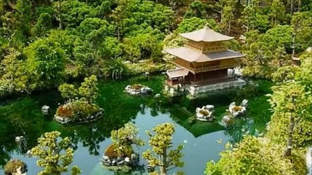 0595bcdc625c3f2e1a3d86b0781744e9