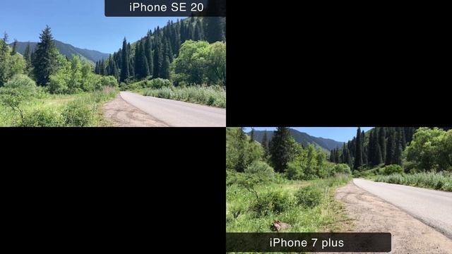 Стоит ли брать IPHONE 7 Plus и IPHONE SE 2020 в 2025 г для записи виде?